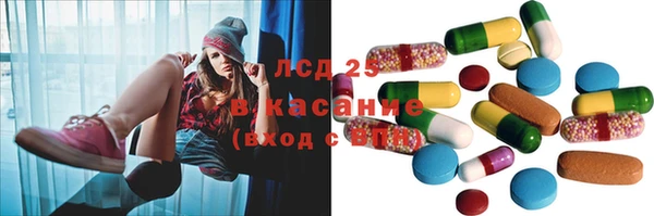 крисы Богородицк