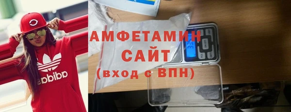 крисы Богородицк