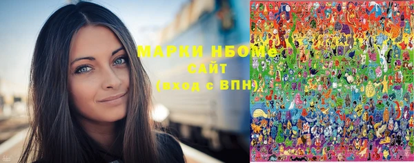 крисы Богородицк