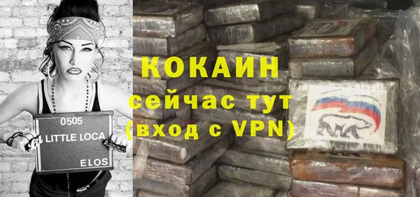 крисы Богородицк
