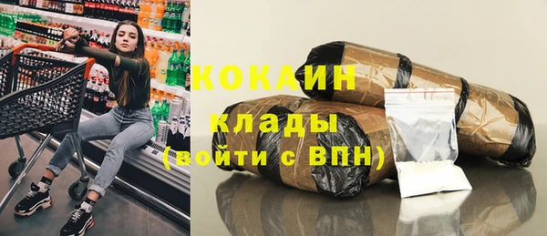 крисы Богородицк