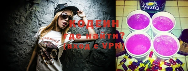 крисы Богородицк